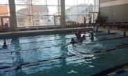 IMG_20170401_175558.jpg